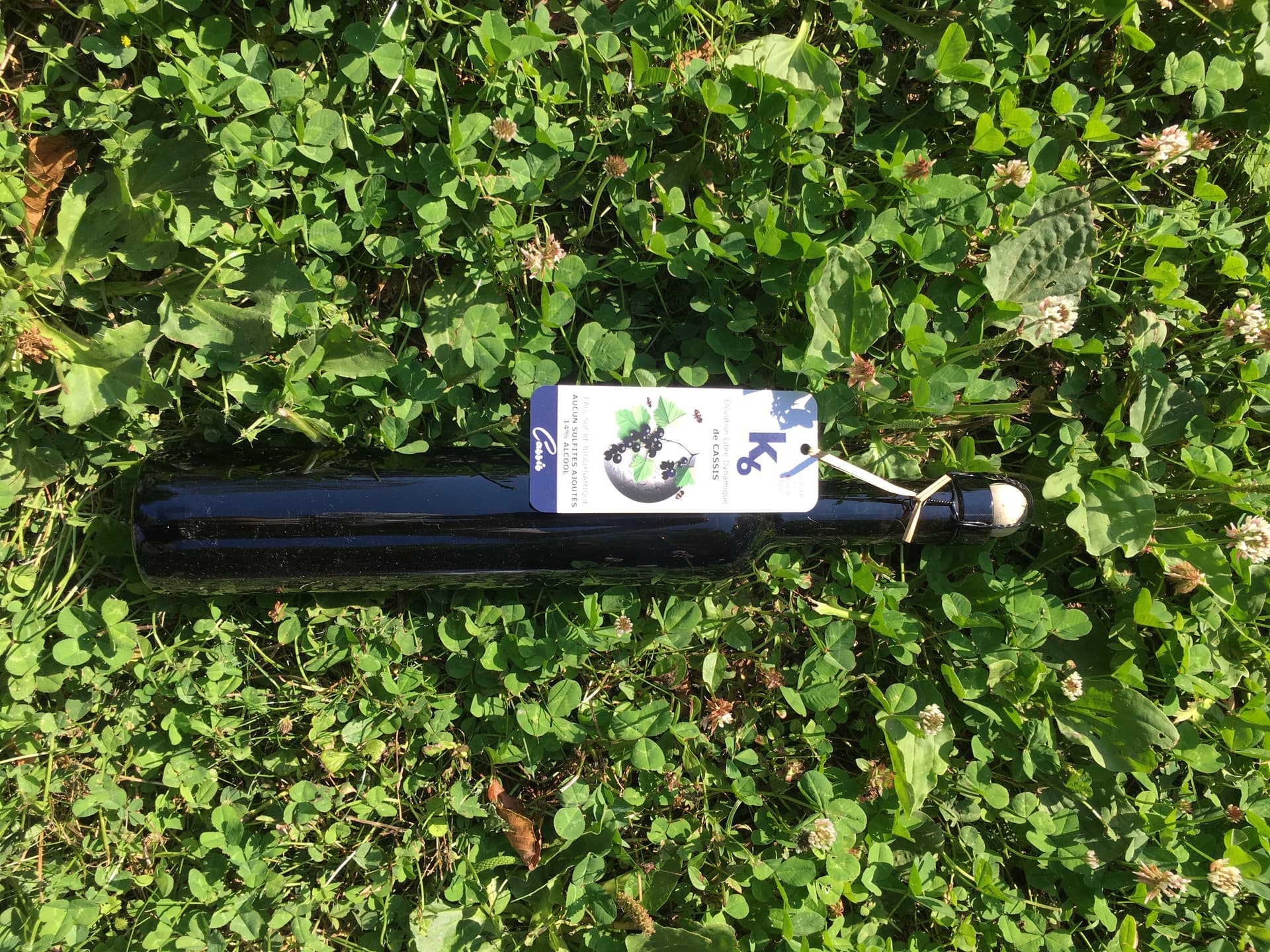 Vin de cassis naturel