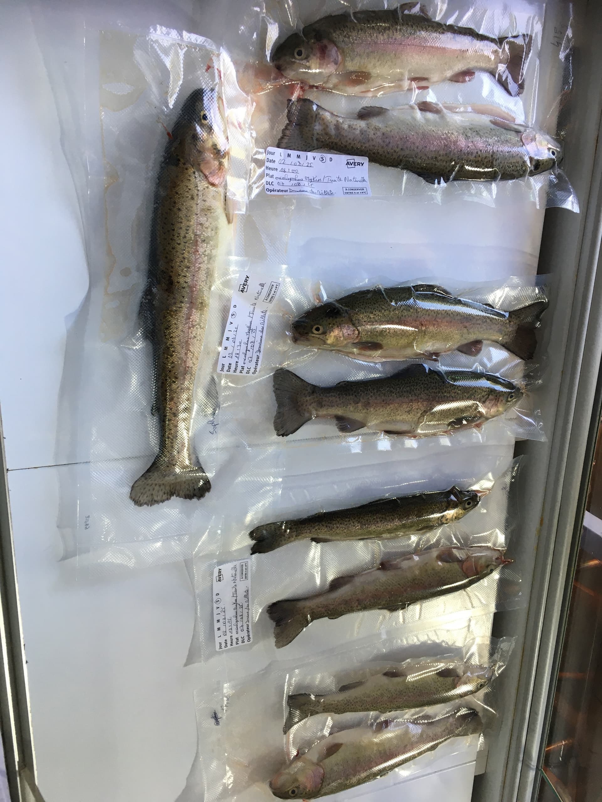 Truites naturelles prêtes à cuire sous vide à la pièce