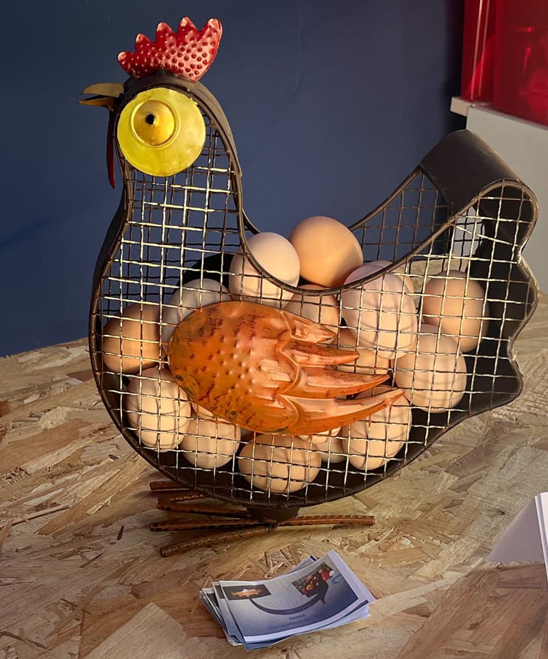 Oeufs de poules de plein air